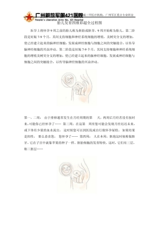 四维彩超胎儿发育全过程图