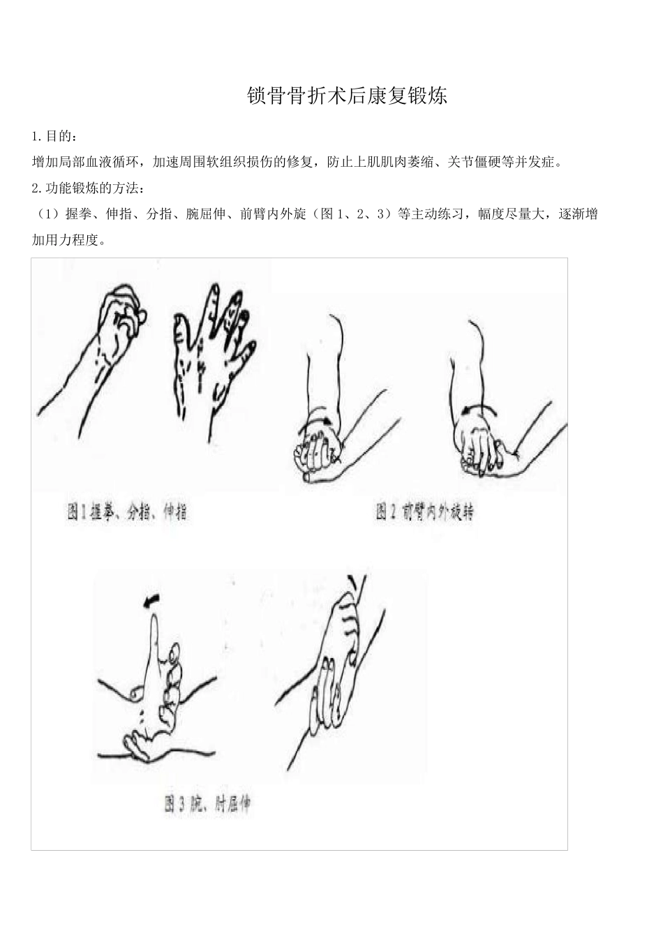 四肢骨折功能锻炼_第1页