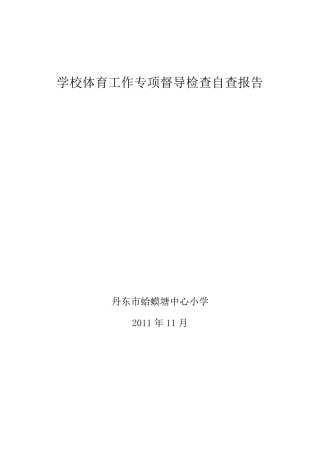 学校体育工作专项督导检查自查报告
