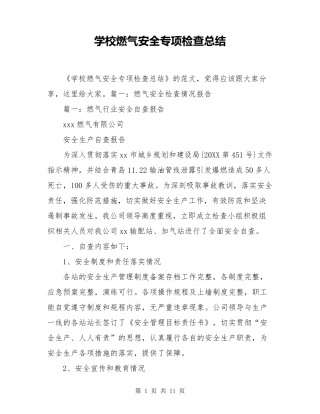 学校燃气安全专项检查总结