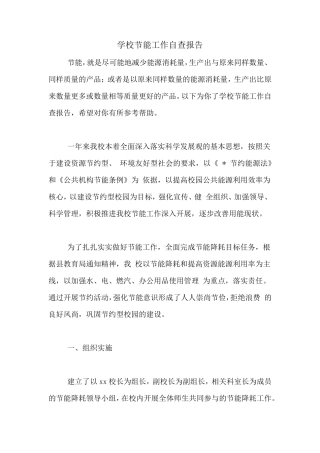 学校节能工作自查报告