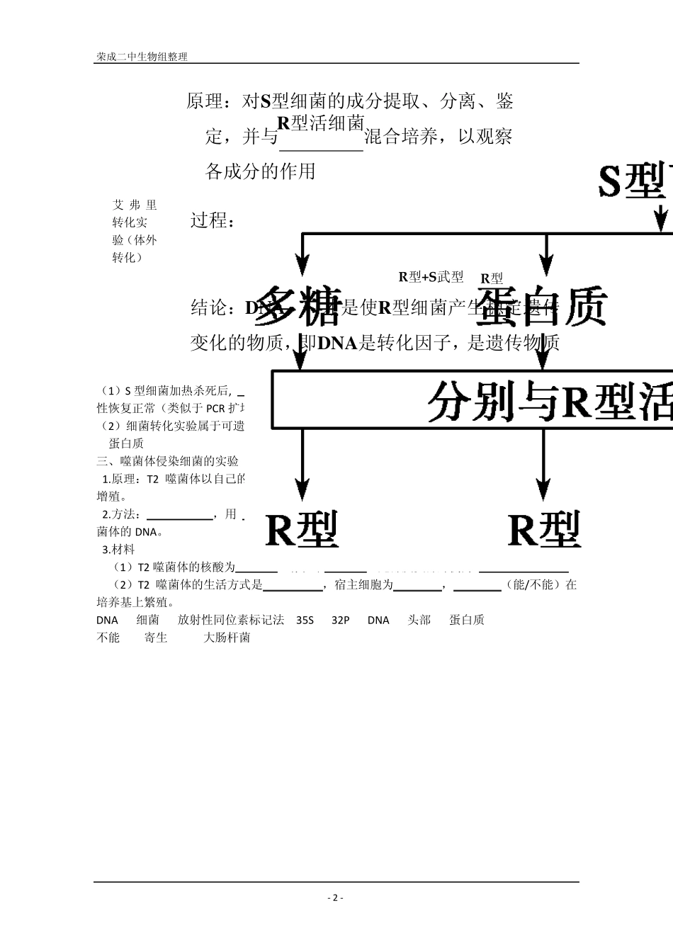 学案高三生物一轮复习：DNA是主要的遗传物质(人教版必修二)_第2页
