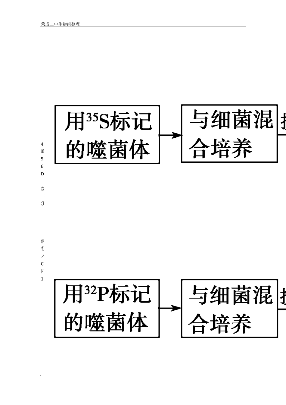 学案高三生物一轮复习：DNA是主要的遗传物质(人教版必修二)_第3页