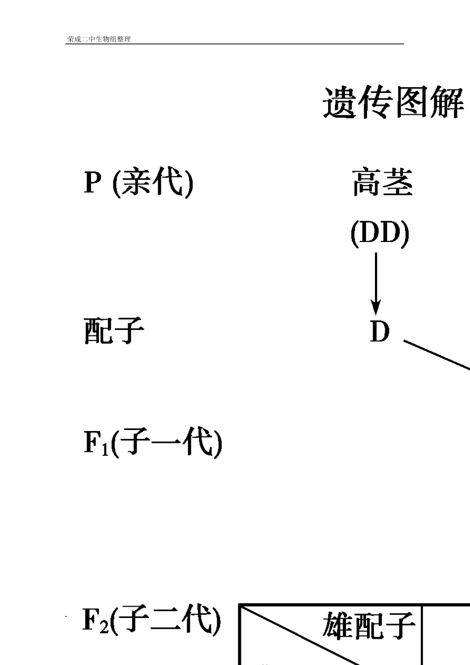 学案高三生物一轮复习：孟德尔的豌豆杂交实验(人教版必修二)_第2页