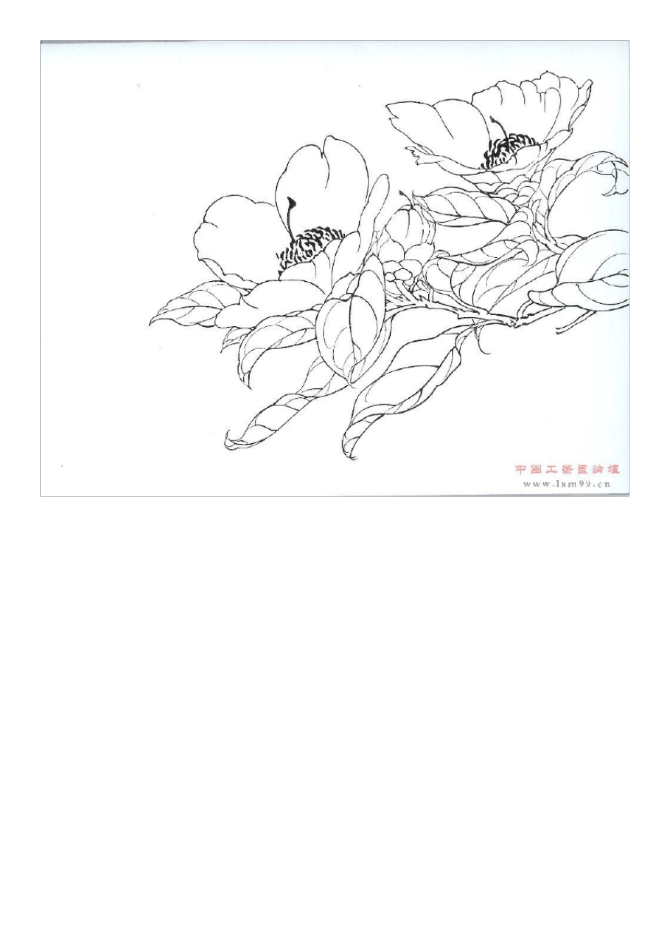学生工笔白描稿A4切割打印版_第1页
