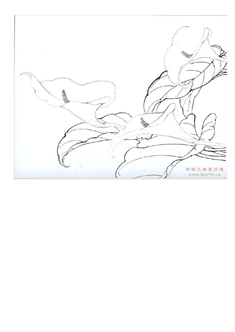 学生工笔白描稿A4切割打印版_第2页