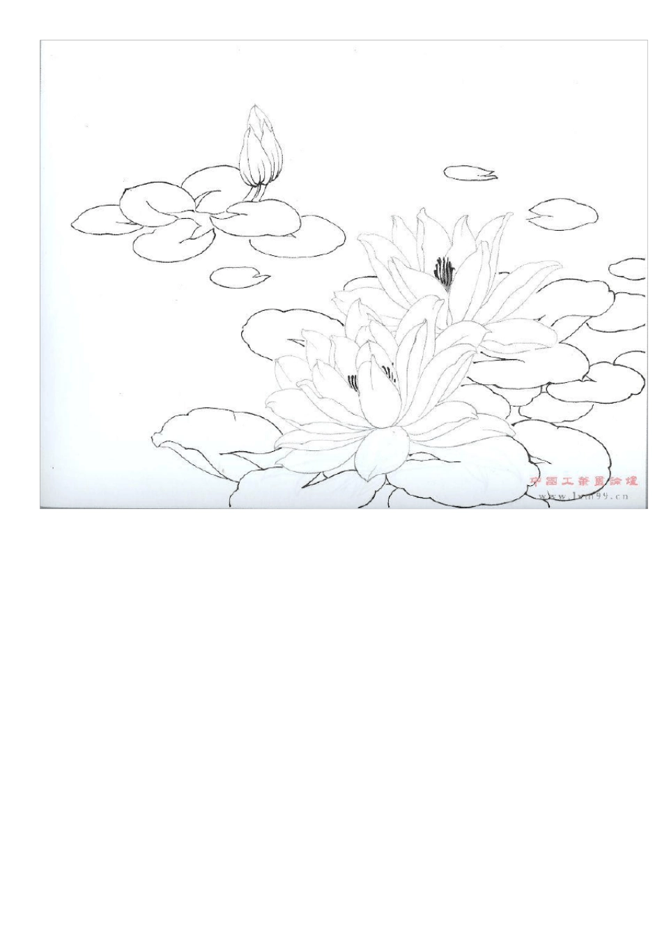 学生工笔白描稿A4切割打印版_第3页