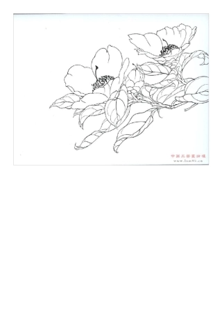 学生工笔白描稿A4切割打印版