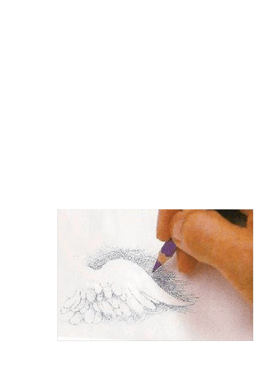 学画彩铅教案_第2页