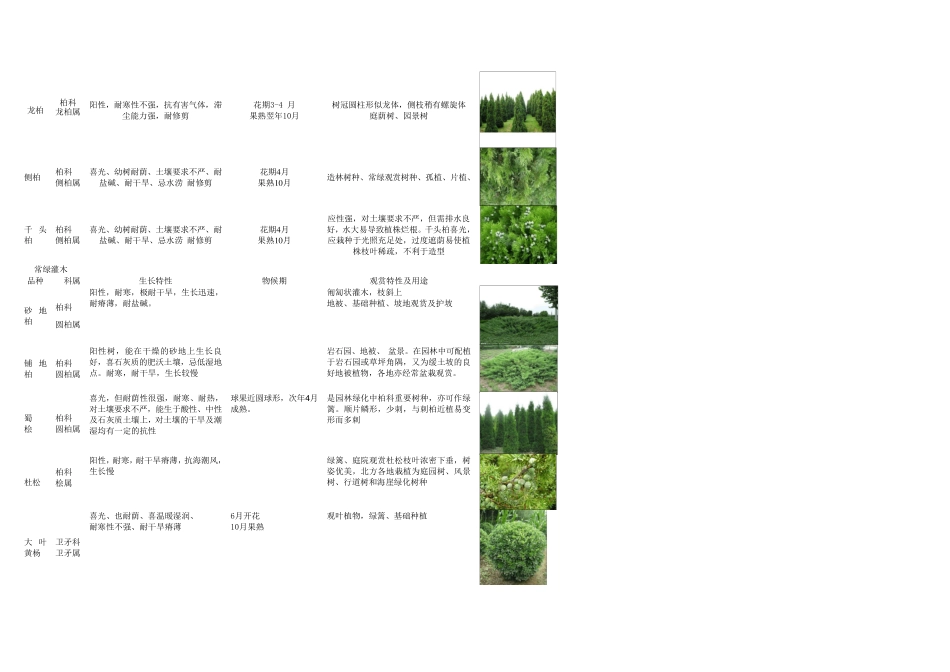 宁夏植物种类_第2页