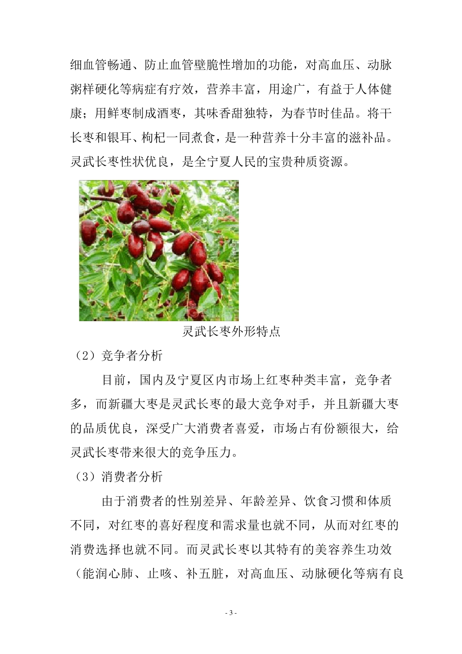 宁夏特色农产品营销策划——以灵武长枣为例_第3页