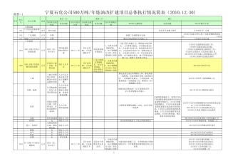 宁夏石化公司500万吨年炼油改扩建项目总体执行情况简表