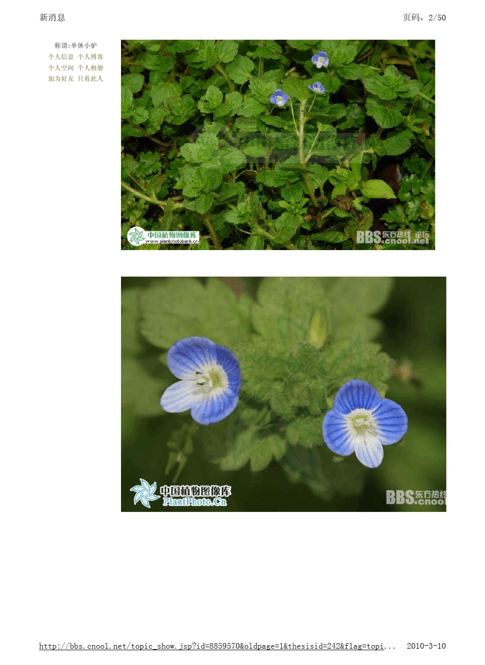 宁波山区常见野花图鉴_第2页