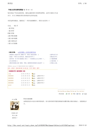 宁波山区常见野花图鉴