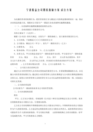 宁波精益公司期权激励方案(试行方案)