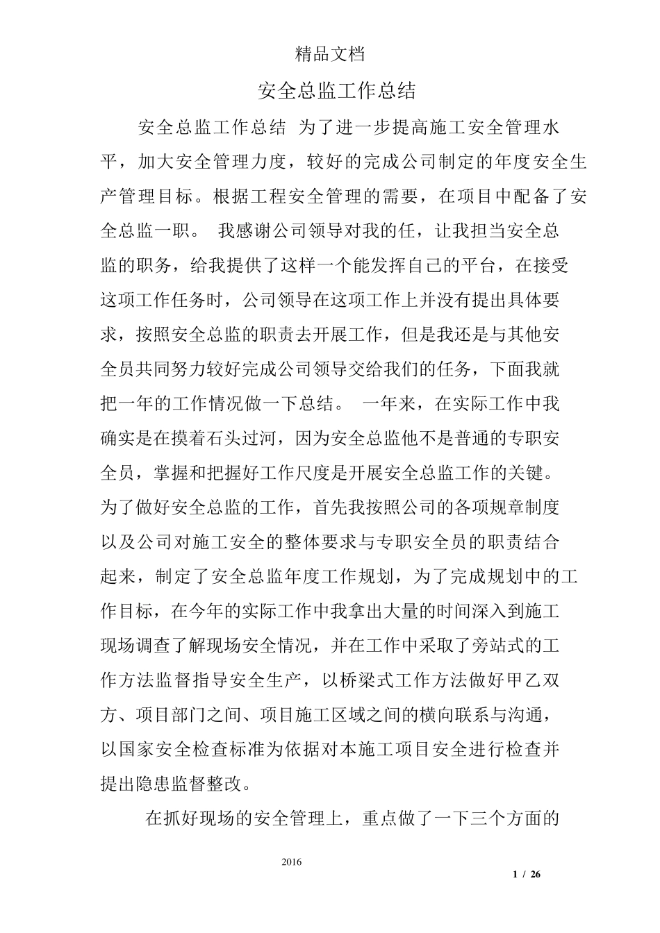 安全总监工作总结_第1页