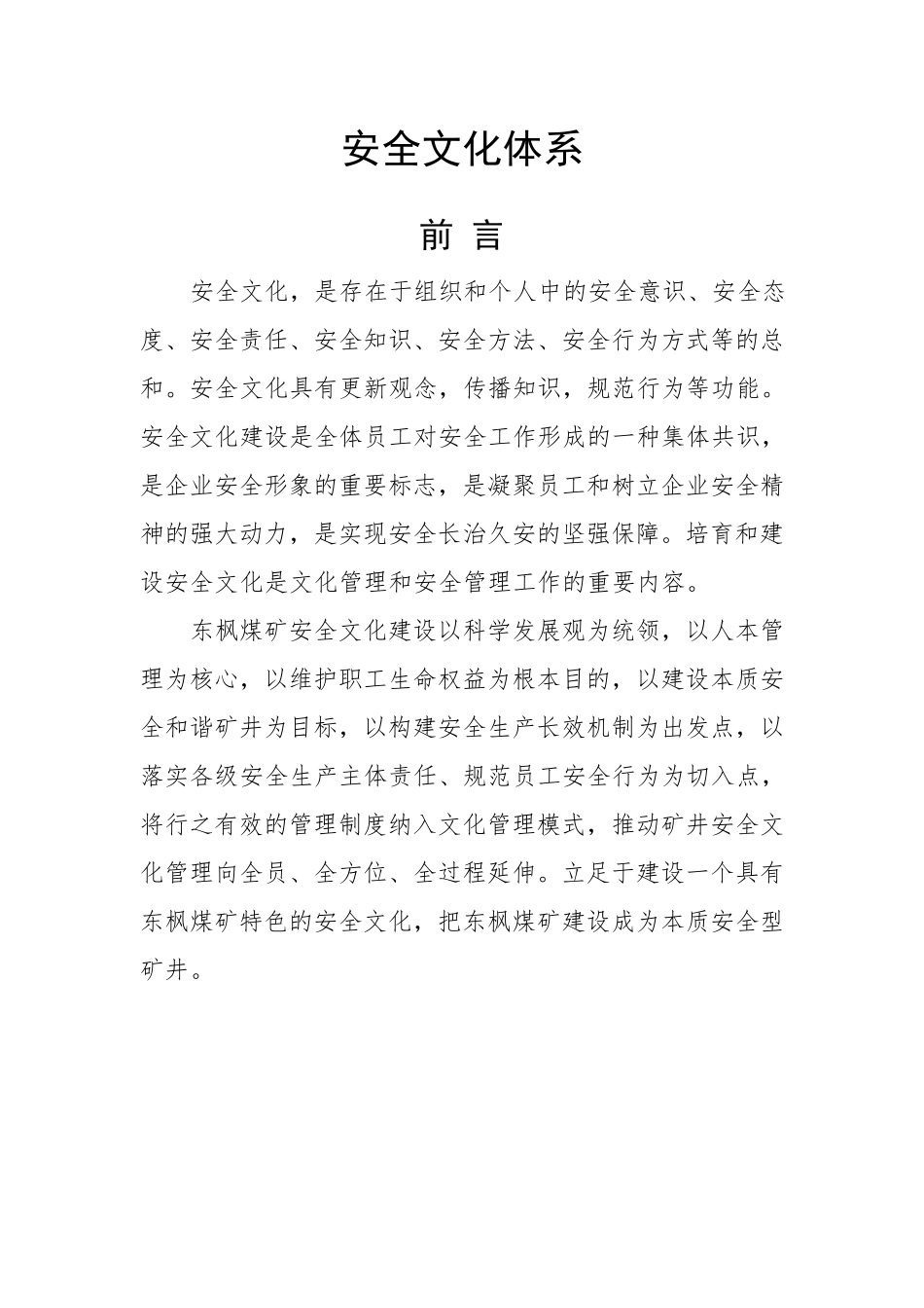 安全文化体系文件_第1页