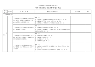 安全标准化标准及自评分