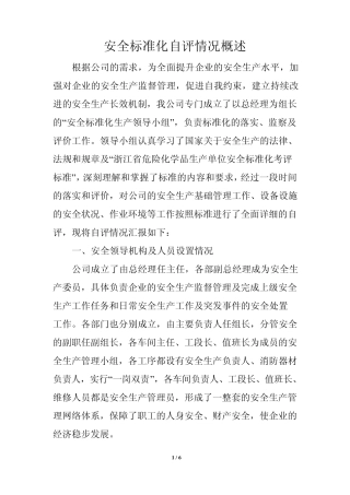 安全标准化自评情况概述