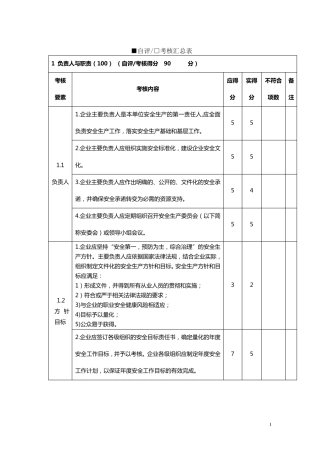 安全标准化自评表