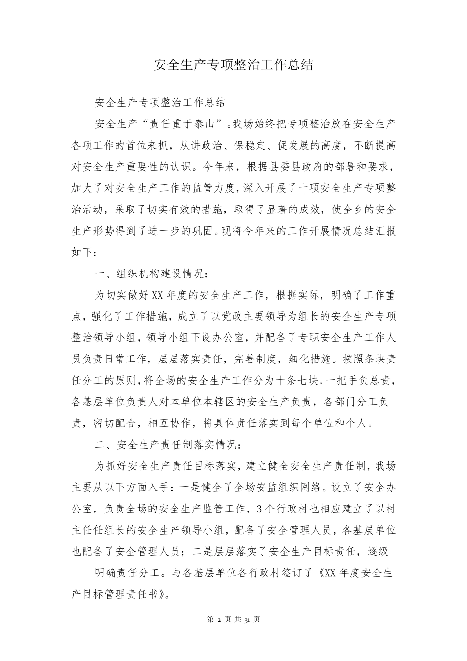 安全生产专项整治工作总结_第2页