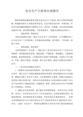 安全生产大检查自查报告