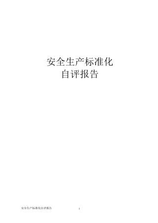安全生产标准化自评报告