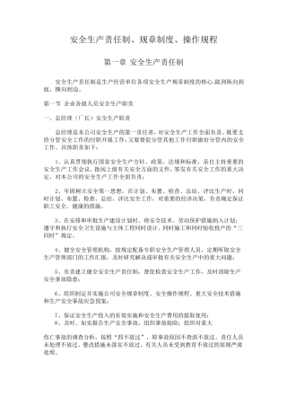 安全生产责任制、规章制度、操作规程