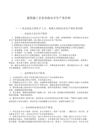 安全生产责任制、规章制度和操作规程