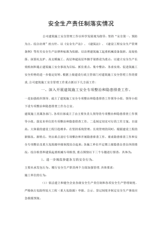 安全生产责任制落实情况