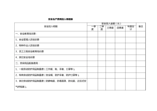安全生产费用投入明细表