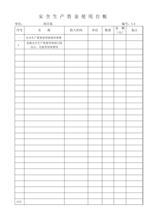 安全生产资金使用台帐新表