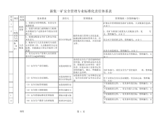 安全管理专业标准化责任体系表20130525