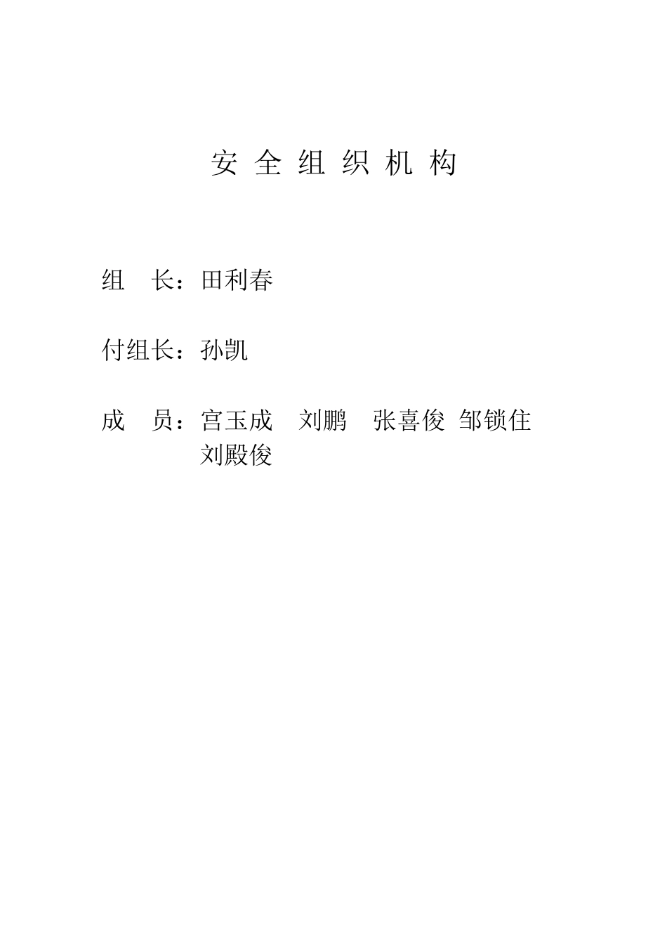 安全组织机构_第1页