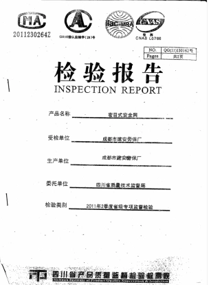 安全网检验报告