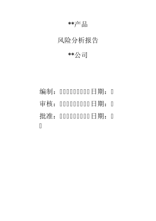 安全风险分析报告
