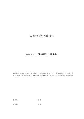 安全风险分析报告模板
