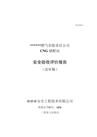 安全验收评价报告