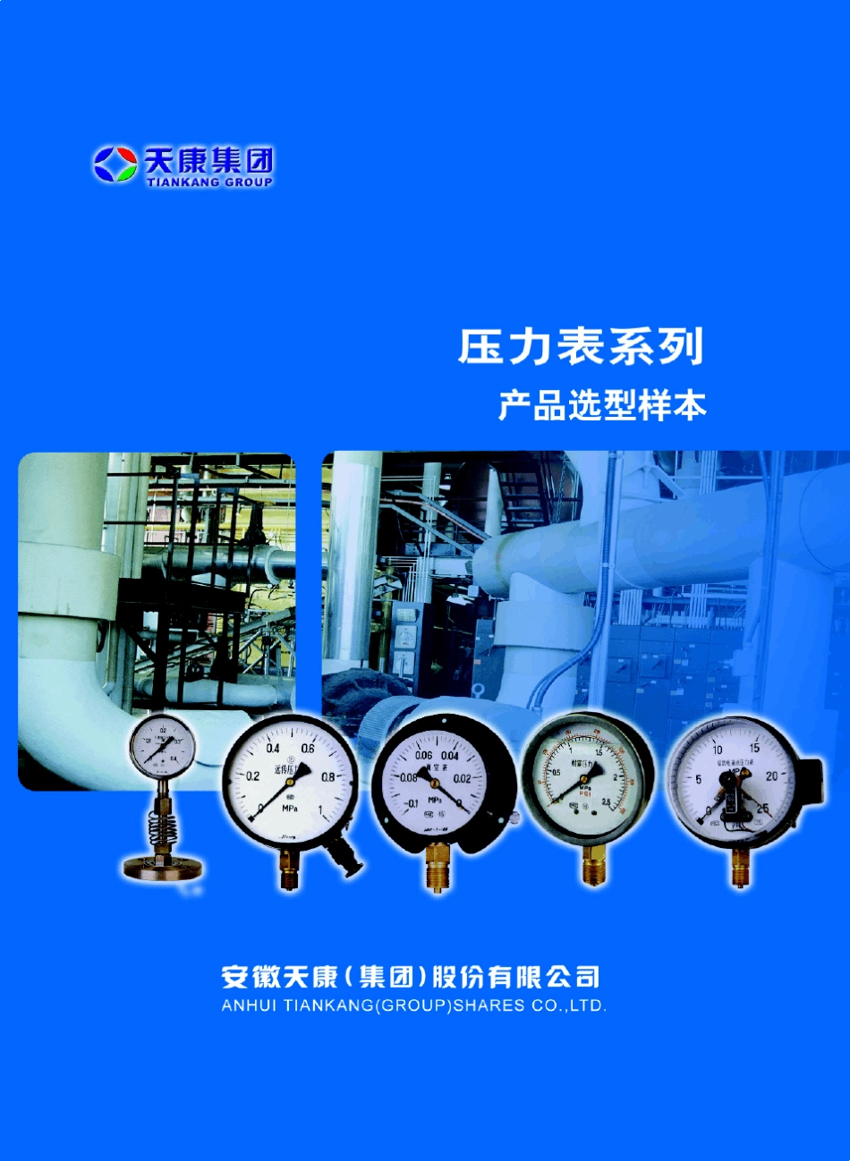 安徽天康压力表选型样本_第1页