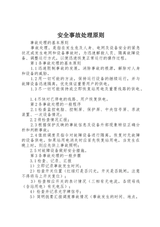 安全事故处理原则_1
