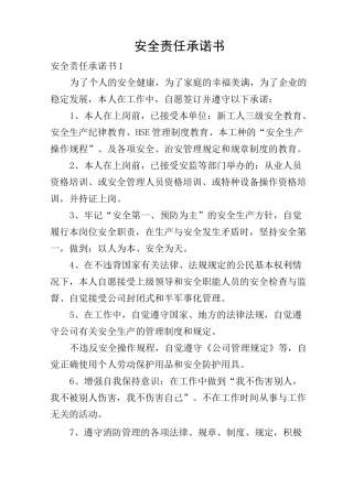 安全责任承诺书