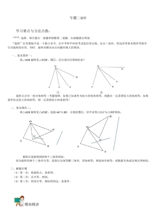 初中数学专题旋转问题