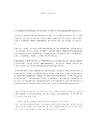 宝钢-人才培养