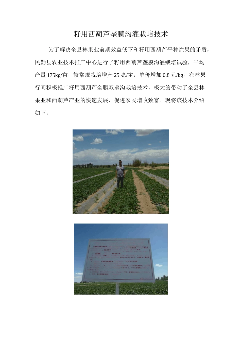 籽用葫芦栽培技术图文并茂_第1页