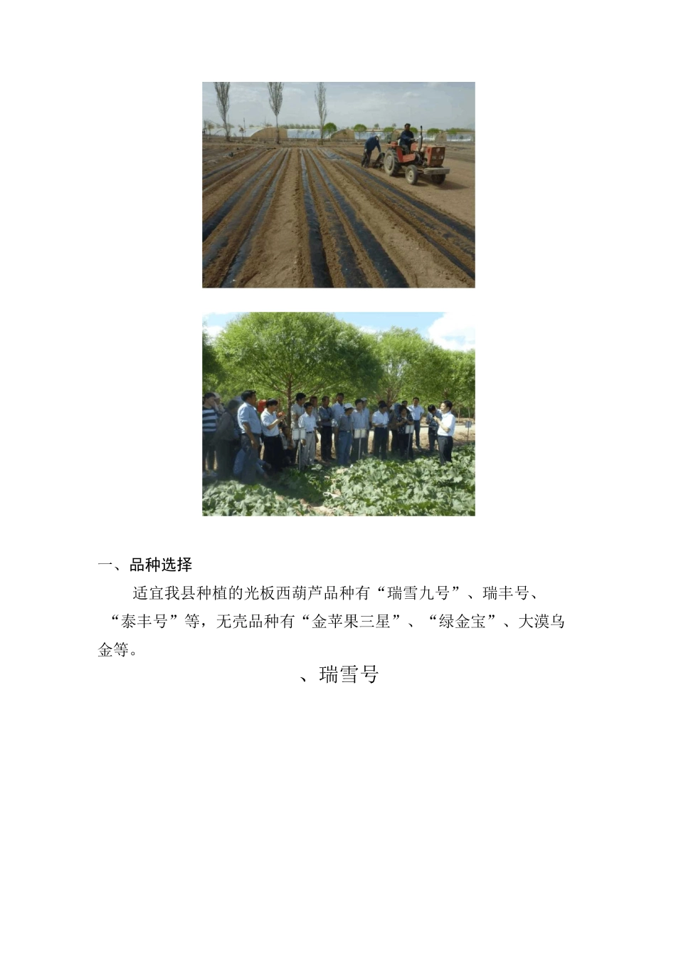 籽用葫芦栽培技术图文并茂_第2页