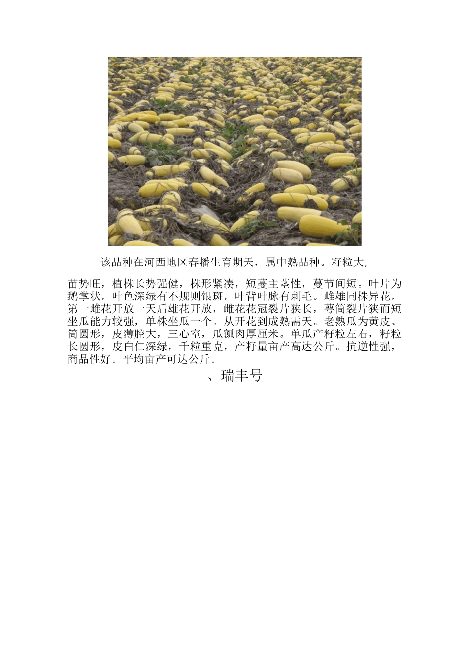 籽用葫芦栽培技术图文并茂_第3页