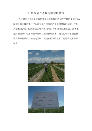 籽用葫芦栽培技术图文并茂