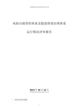 双重预防体系运行情况评审报告及记录