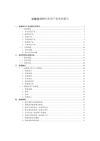 安徽省战略性新兴产业发展报告