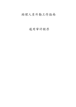 安永—通用审计程序